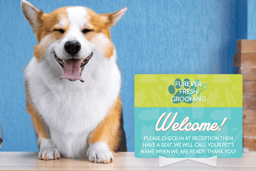 Products That Can Help Your Pet Business Stand Out & Increase Revenue